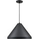 R Series 1 Light 13 inch Satin Black Outdoor Pendant